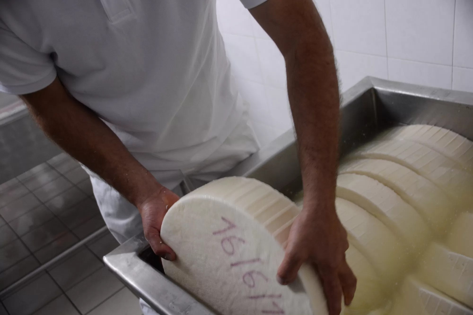 l formaggio tipico di Vezzena